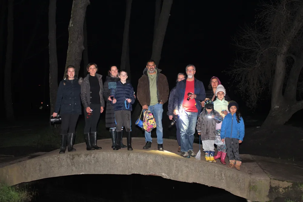 Frog Walks and Talks 2025