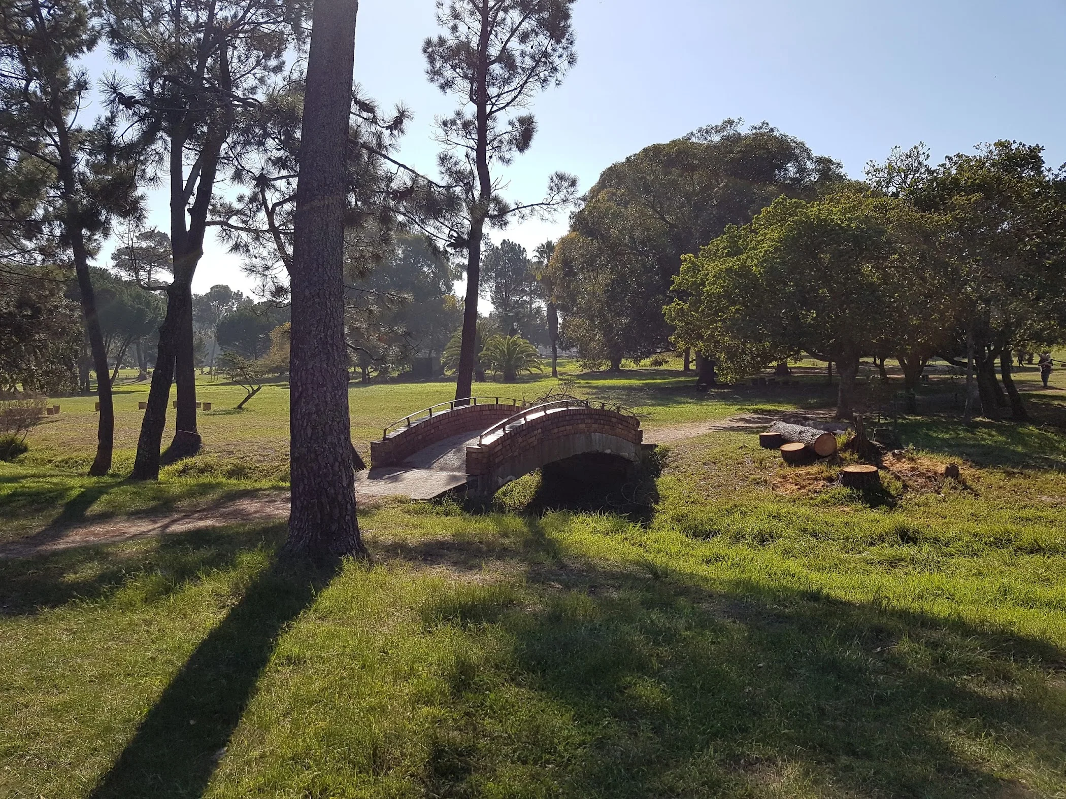 Memorial Tree Program