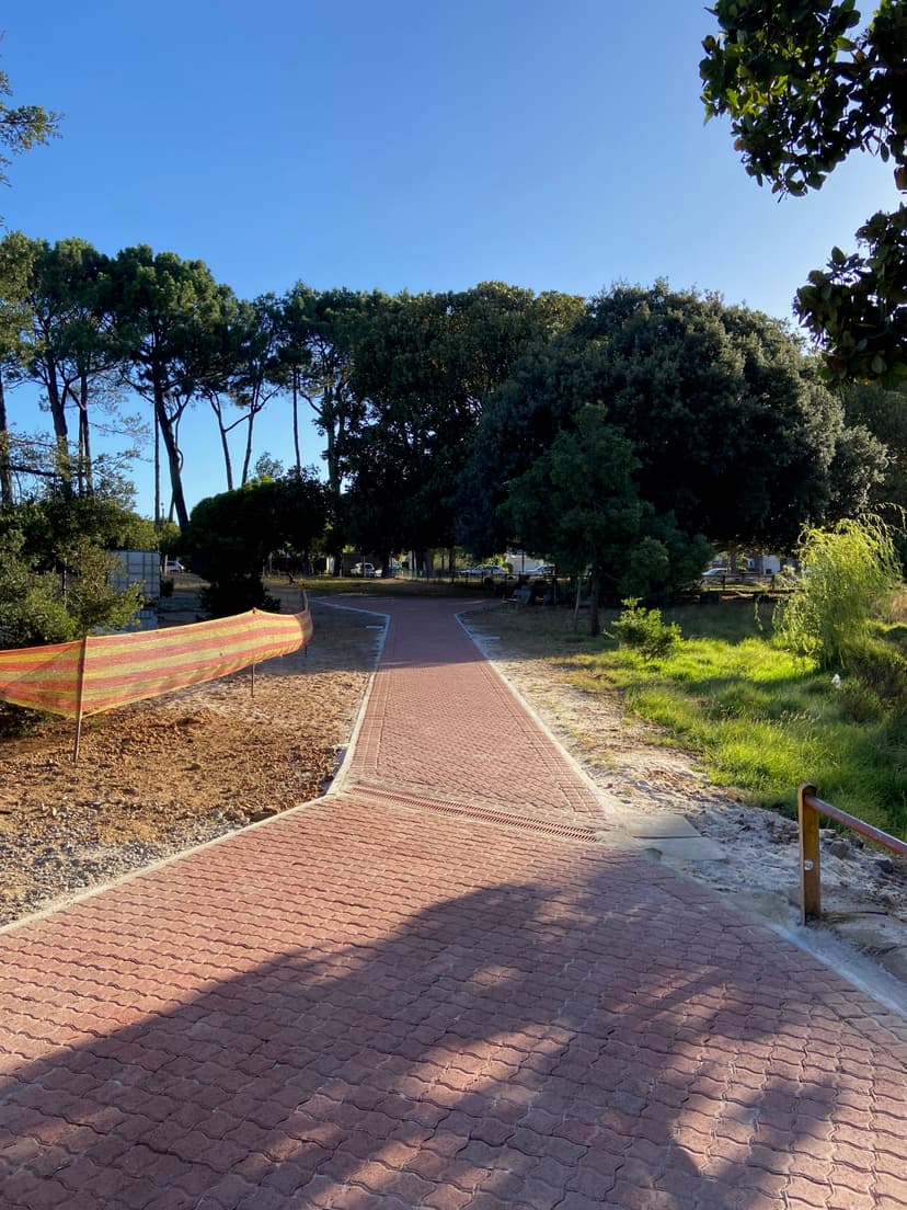 Keurboom Park's Newest Path