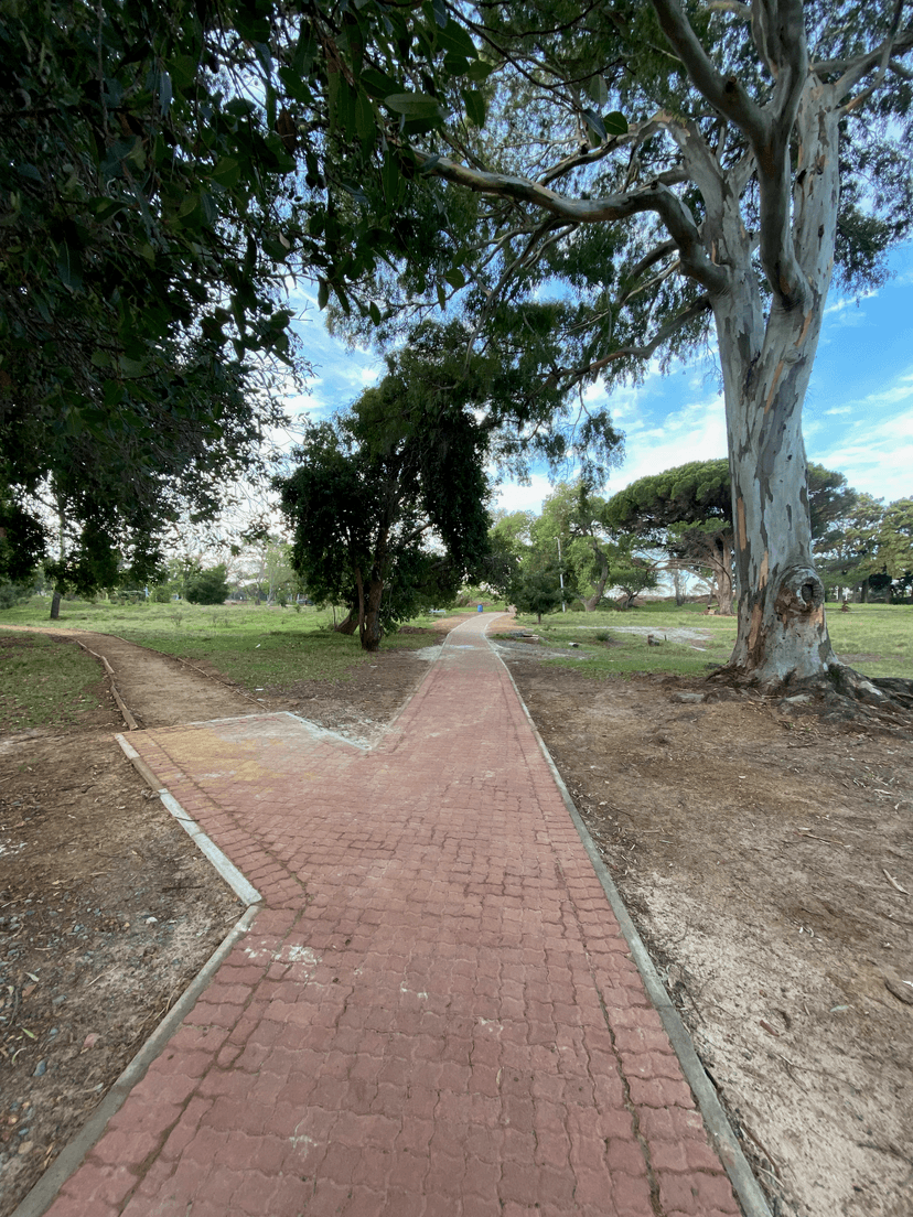 Paths Completed