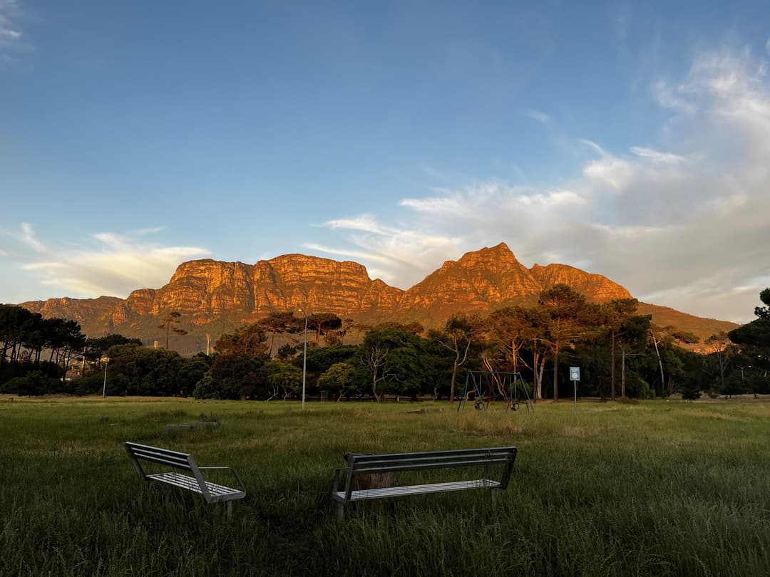 Keurboom Park with Table Mountain